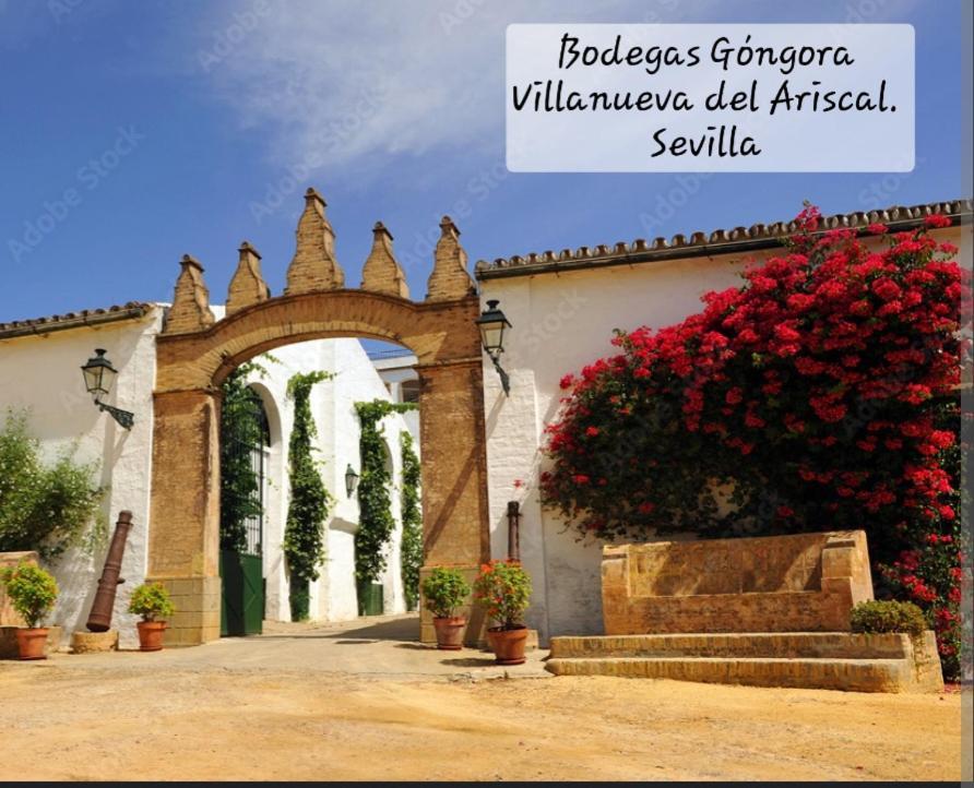 Casa Serena Villanueva del Ariscal Luaran gambar